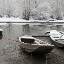 Foto-Forum BEFO-2014-  031